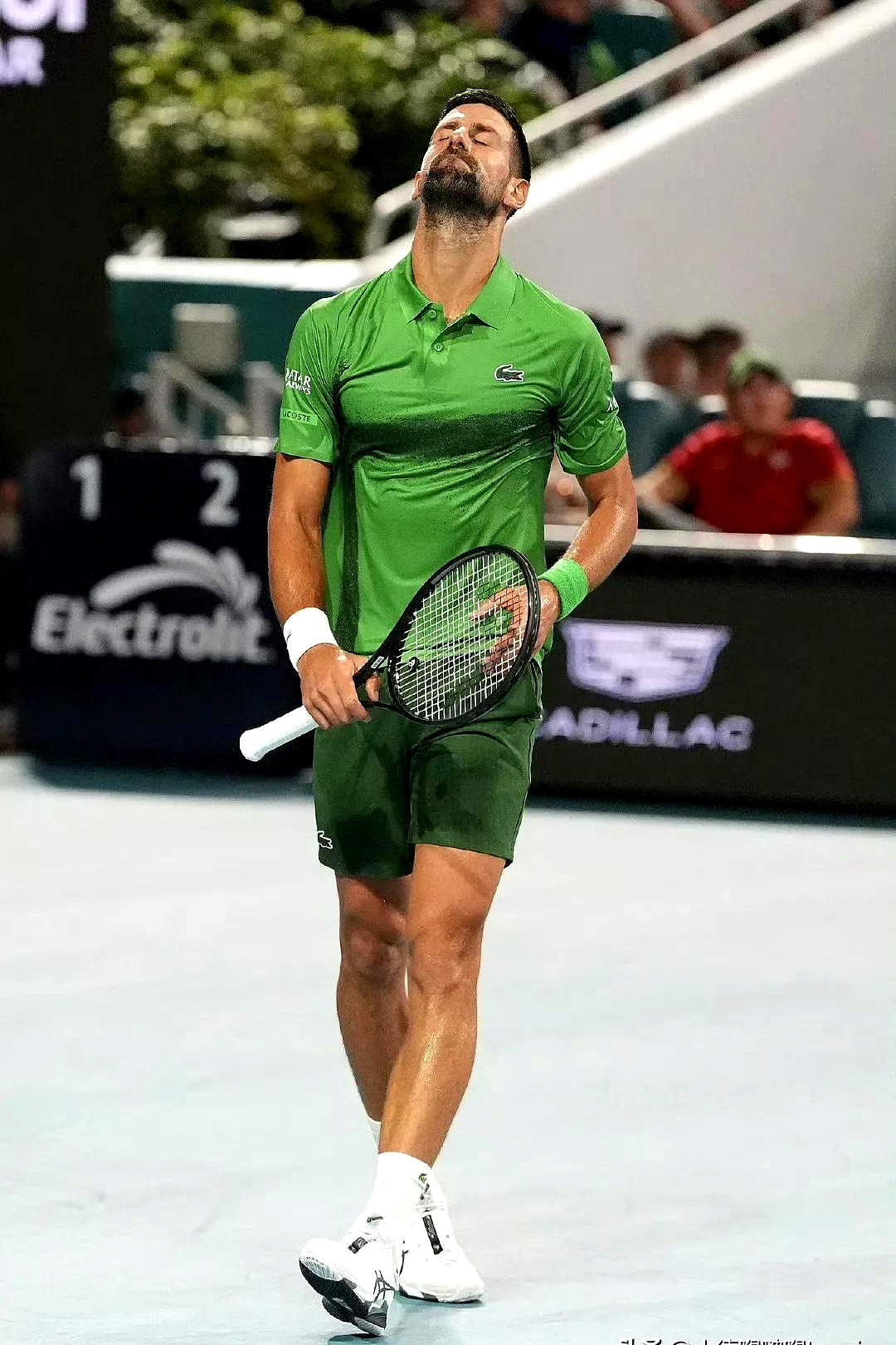 2025九游游戏排行榜关于德约科维奇新星领先优势明显表现突出，美国队前途光明！的信息